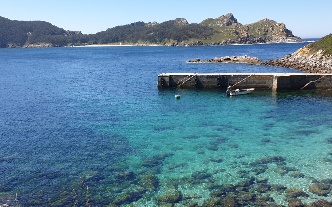 Muelle de Carracido
