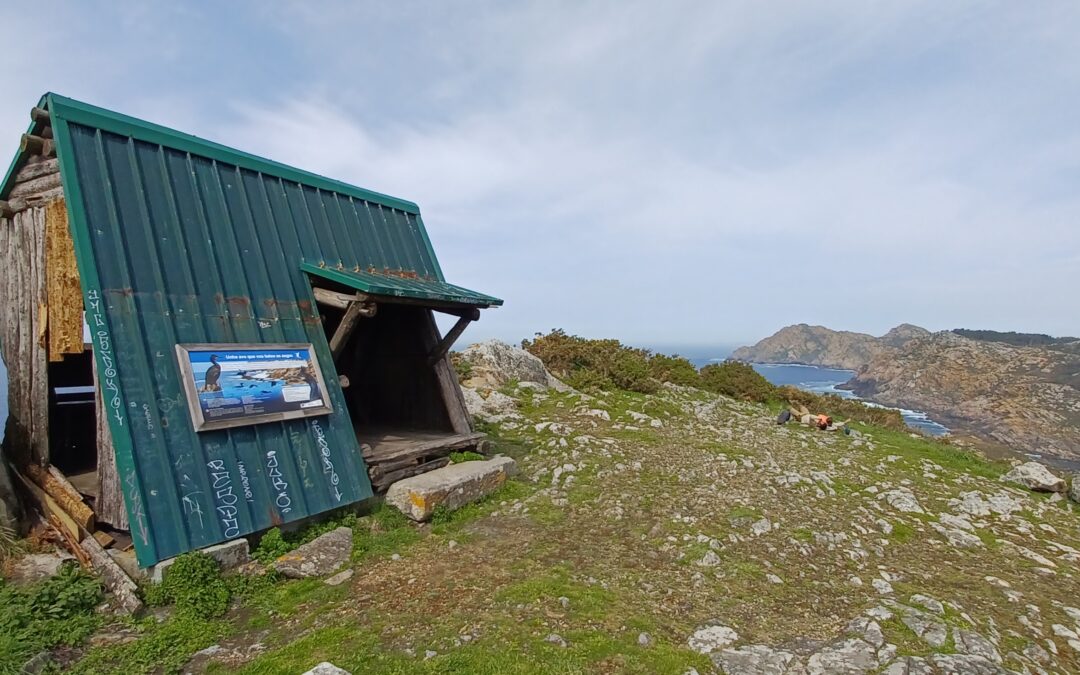 Observatorio de aves